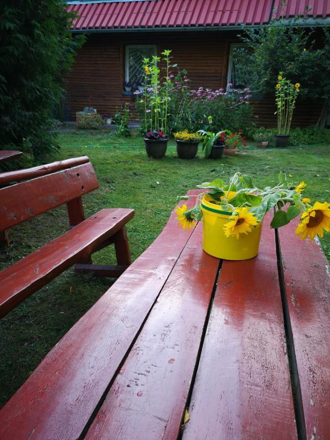 Pensjonat Kryzbarkas Deguciai  Zewnętrze zdjęcie